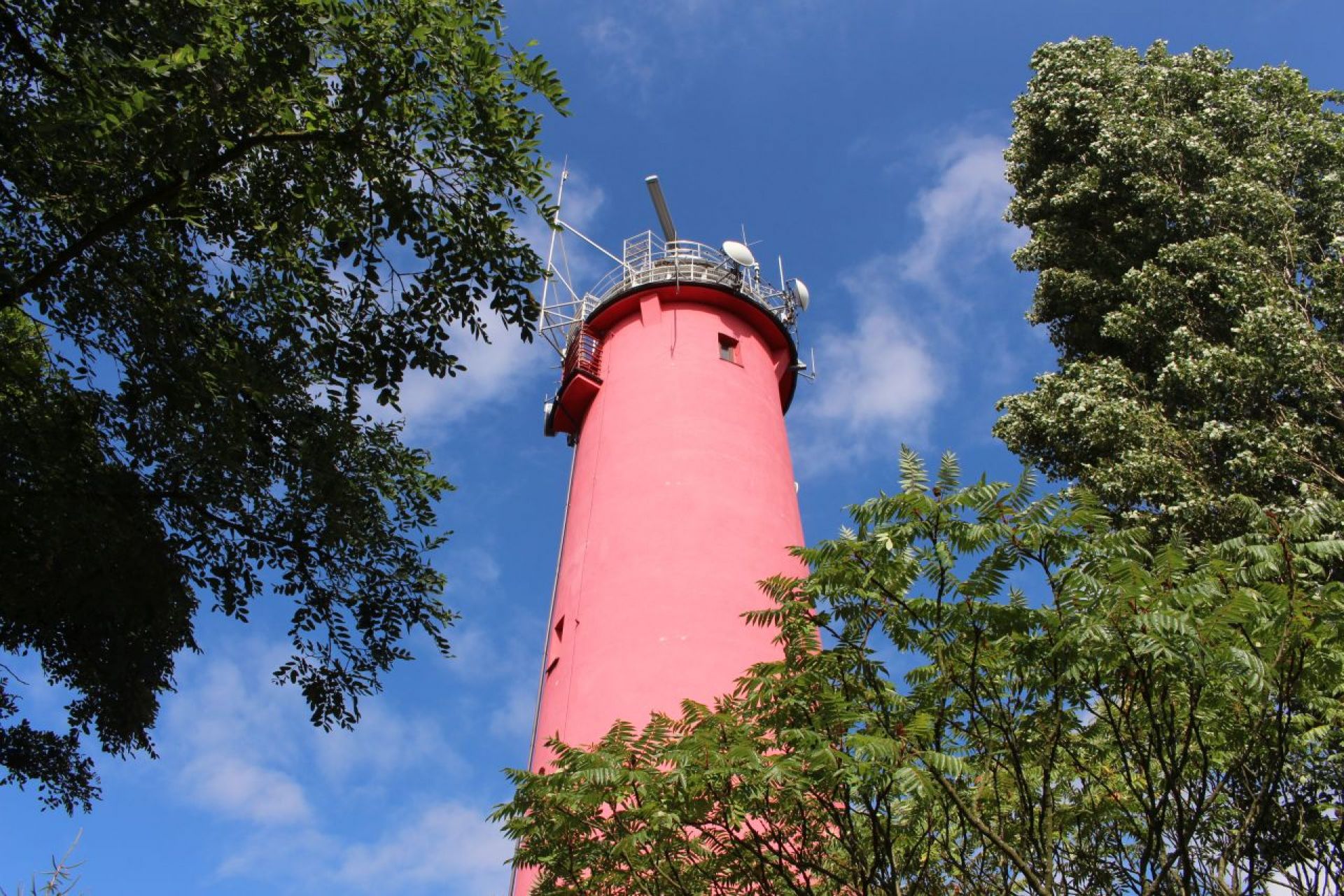 Atrakcje na miejscu w Atrium i Leśniczówce