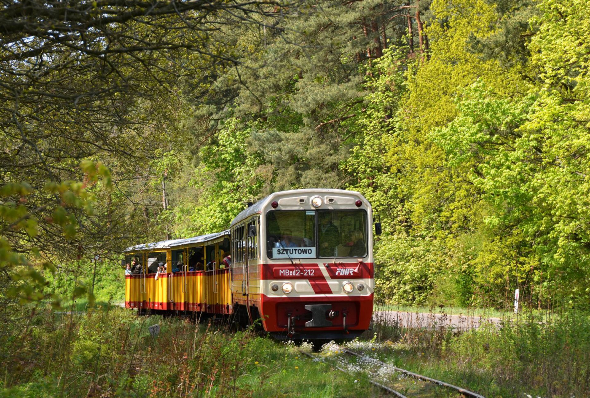 Atrakcje w okolicy Krynicy Morskiej