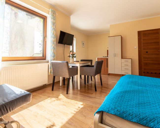 Apartament Studio King Size