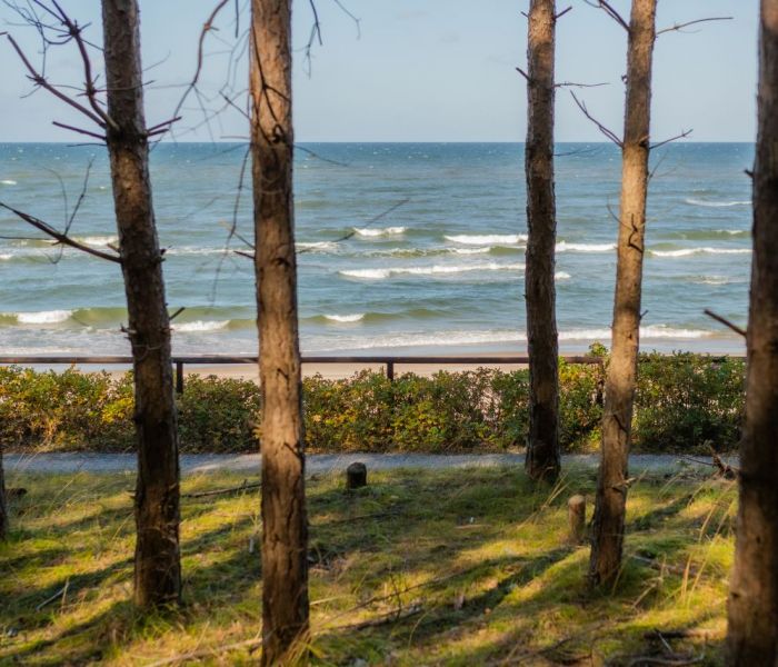 WYPOŻYCZALNIA ROWERÓW